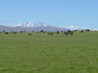 la Nouvelles Z�lande